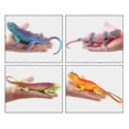 thumbnail image 3 of 2026 Set Of 4 Squeaky Toy Reptile Lizard Animal Figures Model Fidget Toy Simulation Prank Doll Ornament, 3 of 3