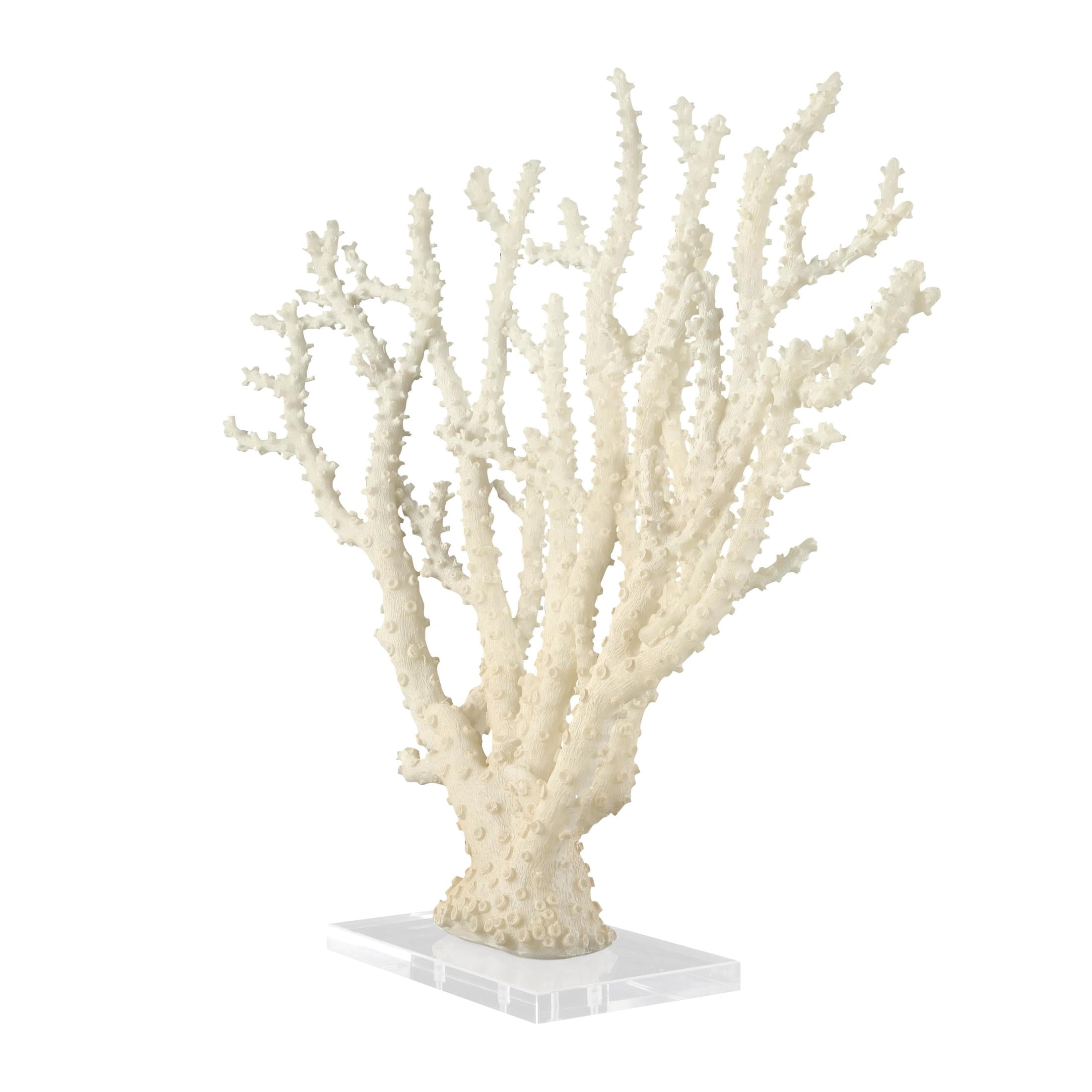 26" x 23" Cream Polystone Coral Sculpture with Clear Acrylic Base, by DecMode