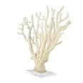 thumbnail image 5 of 26" x 23" Cream Polystone Coral Sculpture with Clear Acrylic Base, by DecMode, 5 of 8