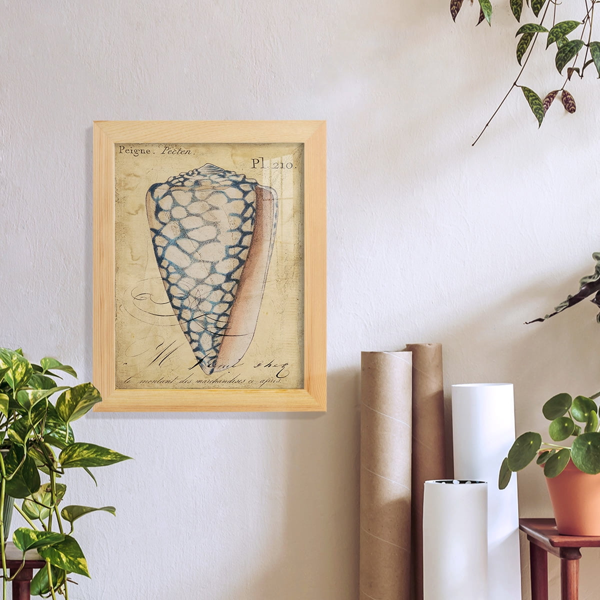 Seashell Ephemera IV - Framed Print w/glass - Natural Wood