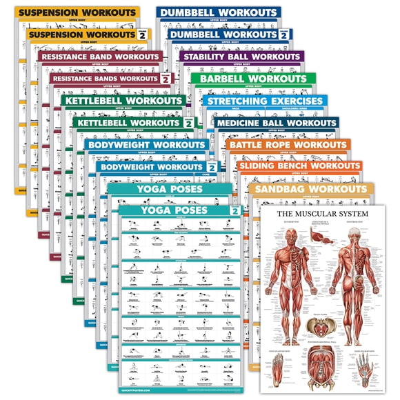 Palace Learning 20 Pack - Anatomical Posters - Paper - Muscular, Skeletal, Digestive, Respiratory, Circulatory, Endocrine, Lymphatic, Male & Female,