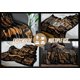 thumbnail image 4 of LHSHID Father's Day Birthday Gifts for Dad to My Dad Gifts from Daughter Son Best Dad Gifts Ideas Soft Throw Blanket Best Dad Ever Gold 30"x40", 4 of 7