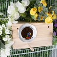 thumbnail image 3 of Caja nido para loros, jaula para cría de cacatúas, jaula para pájaros, incubadora de madera cálida para periquitos, tortolitos, cacatúas, pinzones, canarios (M), 3 of 5