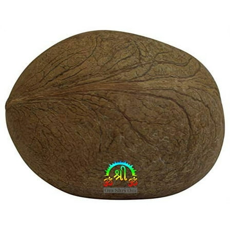 Dry Whole Coconut for Puja Indian Religious ceremony