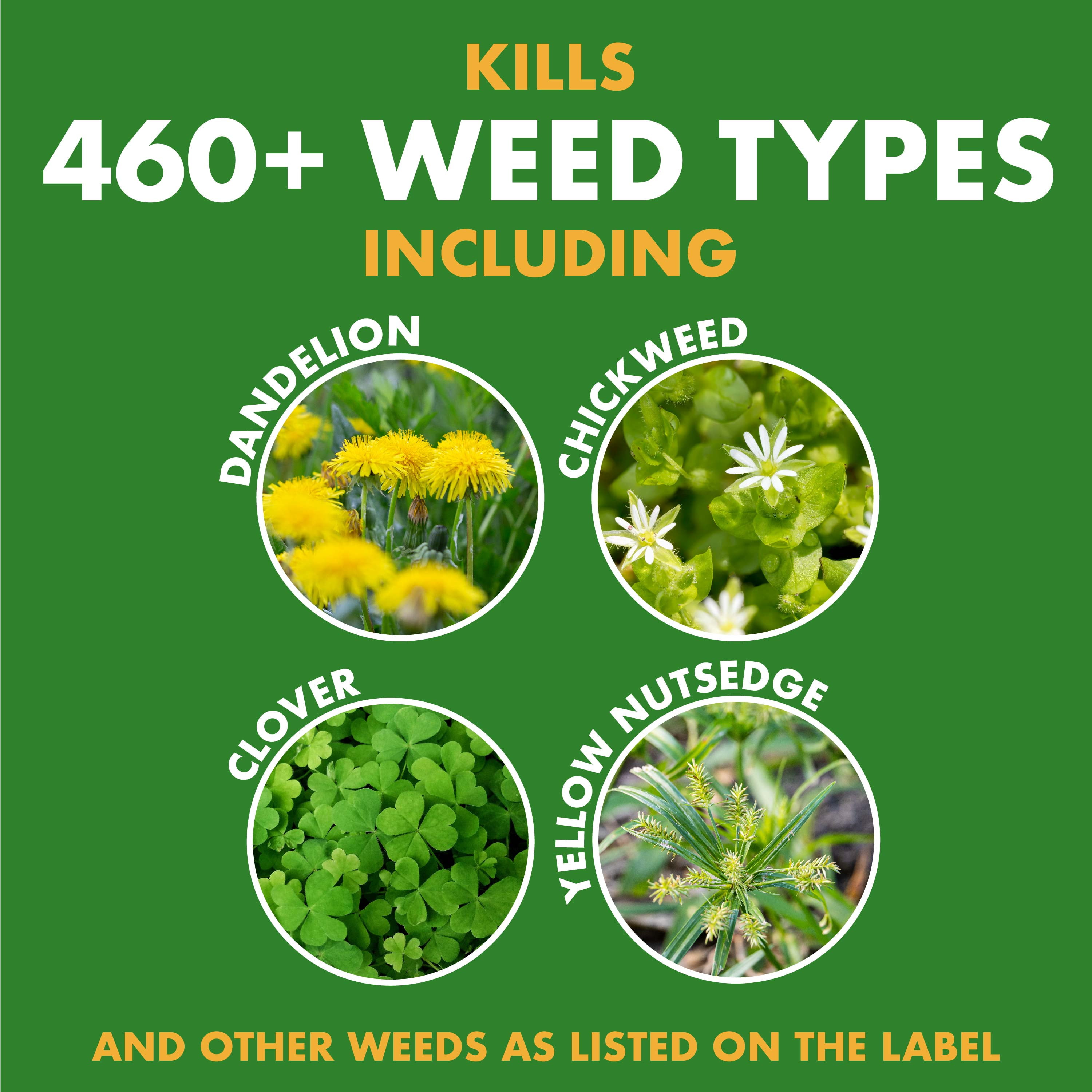 Spectracide Weed Stop for Lawns Ready-to-Spray Concentrate, 32 Ounces