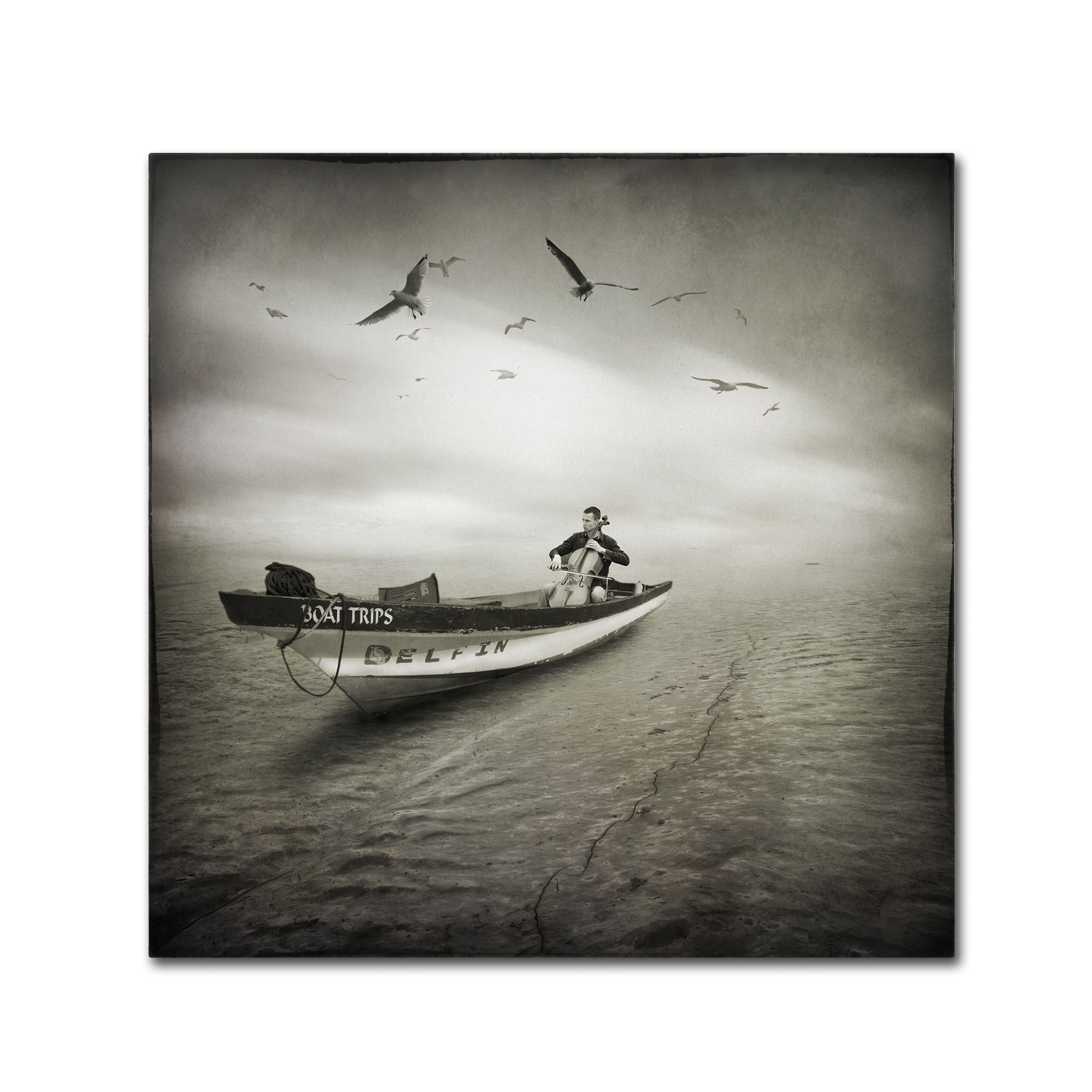 Trademark Fine Art "Cello Sophia" Canvas Art by Moises Levy
