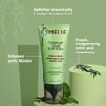 thumbnail image 6 of Mielle Rosemary Mint Clarifying Sugar Scalp Scrub 6 oz, 6 of 11