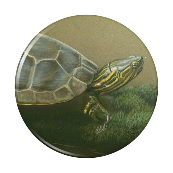 Painted Turtle on a Mossy Log Pinback Button Pin