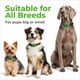 thumbnail image 4 of Placa antipulgas y garrapatas FurLife roja impermeable para perros, 4 of 9