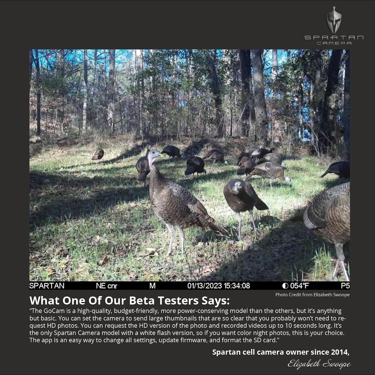 Spartan Gocam 4G LTE Trail Camera, Free Roaming in US, Remotely Update Camera Settings, Fully Configurable via App, HD Video, HD Photo, Blackout Flash, Hunting, Security, Surveillance, Areus camo