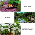 thumbnail image 3 of TABLETREANDS 6Pqt Pulidas Para De Y Peceras, 3 of 6