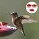 thumbnail image 4 of 3 PCS Alimentadores de colibrí Forma de plástico Forma de Forma Alimentador Alimentadores de mano, 4 of 7
