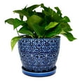 thumbnail image 5 of Trendspot Mediterranean 10" Round Blue Ceramic Planter, 5 of 7