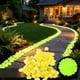 thumbnail image 1 of Pack de 200 de piedras de jardín que brillan en la oscuridad, piedras decorativas luminosas para senderos, paisajismo y decoración de acuarios para acuarios, 1 of 5