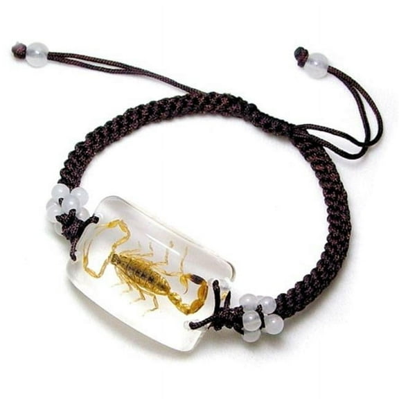 Real Bug Bracelet-Scorpion