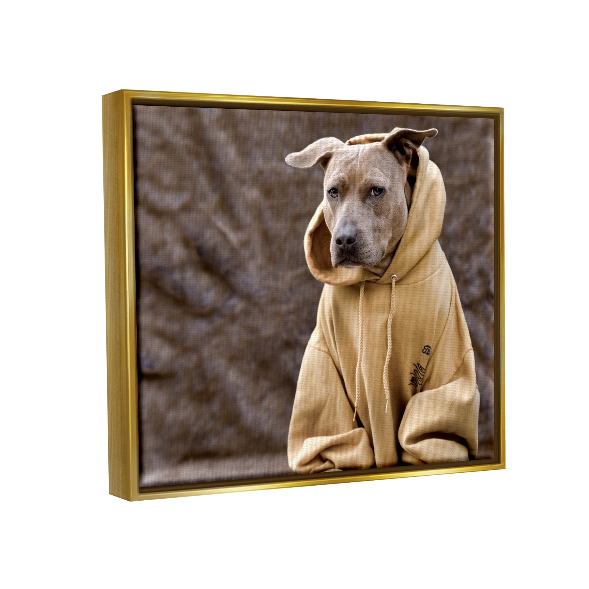Stupell Industries Beautiful Dog Wearing Cozy Yellow Hoodie Photography Photograph Metallic Gold Floating Framed Canvas Print Wall Art, Design by Michael Brian
