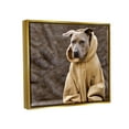 thumbnail image 3 of Stupell Industries Beautiful Dog Wearing Cozy Yellow Hoodie Photography Photograph Metallic Gold Floating Framed Canvas Print Wall Art, Design by Michael Brian, 3 of 8