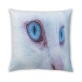 thumbnail image 2 of Ahgly Company Cat Cats Coussin Intérieur, 18 Pouces par 18 Pouces, 2 of 6