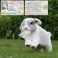 thumbnail image 1 of Home Decoration Easter Funny Bunny ID Card Pass Card Creative Holiday Celebration Plastic Bunny License, 1 of 6