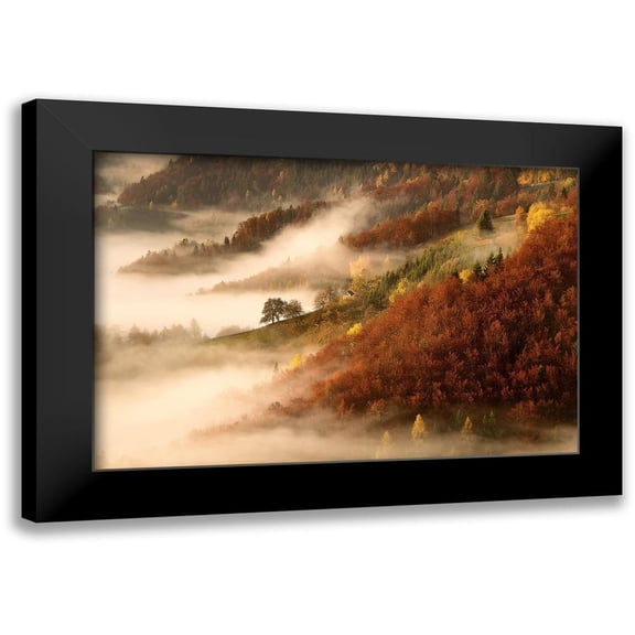 Bor 14x11 Black Modern Framed Museum Art Print Titled - Novembers fog
