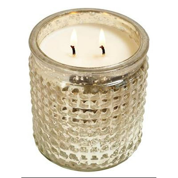 NOEL Hillhouse Naturals 15 oz Large Mercury Glass 2-Wick Scented Jar Candle