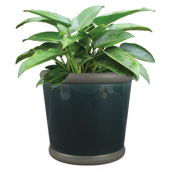 Trendspot 9" Bellville Crock Ceramic Planter- Blue