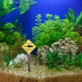 thumbnail image 4 of Milisten 1Ud Acuario Con Señal De Advertencia Tiburón Marco Amarillo Resina, 4 of 8