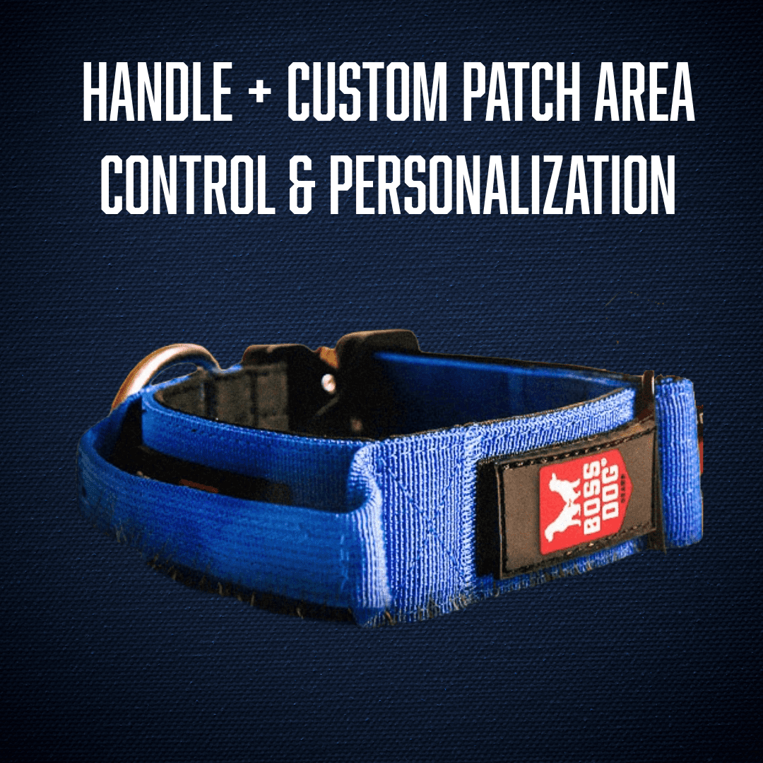 Boss Dog Tactical Collar, Blue, Medium