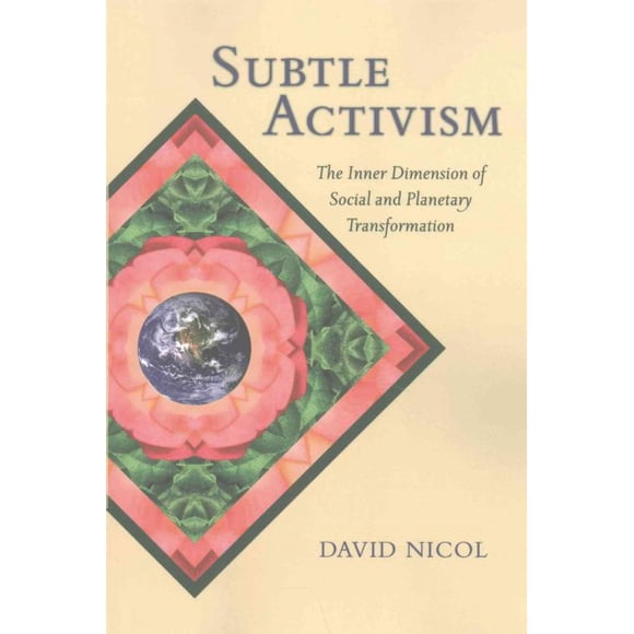 Subtle Activisme, David Nicol Livre Broché