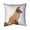 Red, variant on Begin Home Decor 5541-2020-AN483 20 x 20 in. Red Fox-Double Sided Print Indoor Pillow