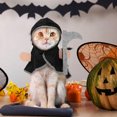 thumbnail image 3 of HONMEET 16Pcs Dog Costume Cape  Spirit Involvement For Festive Events, 3 of 6