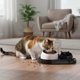 thumbnail image 5 of Comedero y bebedero automático para mascotas | Diseño de doble cuenco para perros y gatos | Acero inoxidable y plástico | Sistema inteligente de recarga de agua | Fácil de limpiar, 5 of 6