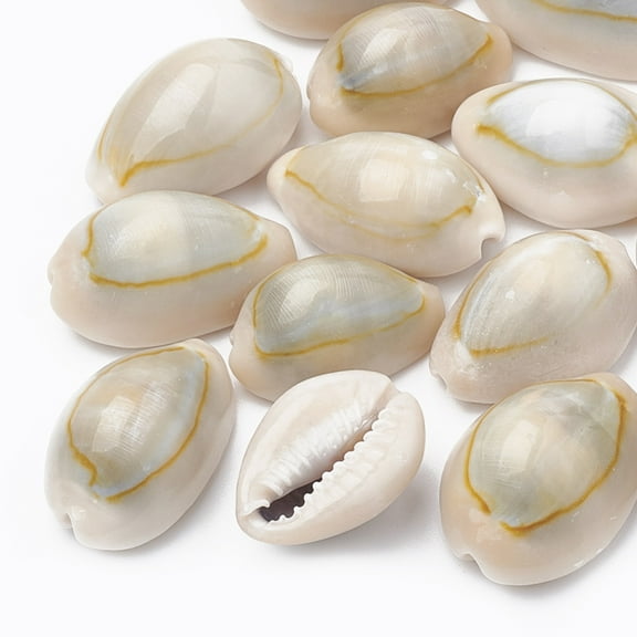 50 pc Natural Cowrie Shell Beads Seashell color 19~23x13~17x10~12mm