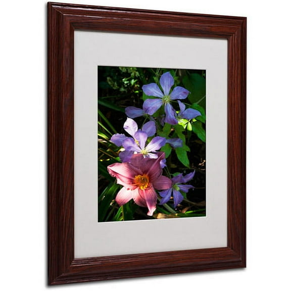 Trademark Fine Art "Clematis and Lily" Canvas Art by Kurt Shaffer, Wood Frame