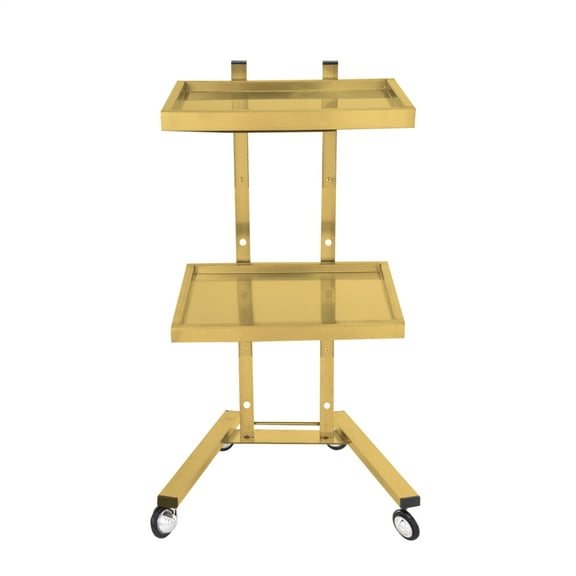 ZHAO Salon Rolling Cart Foldable Beauty Tray Storage Shelves 2 Tier Stainless Steel Beauty Hair Cart on Wheels for Office Classroom Library gifts