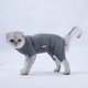 thumbnail image 3 of Traje de recuperación para gatos, camisa para perros y gatos después de una cirugía, ropa protectora para evitar que se laman, para cachorros, gatos, machos y hembras, 3 of 5