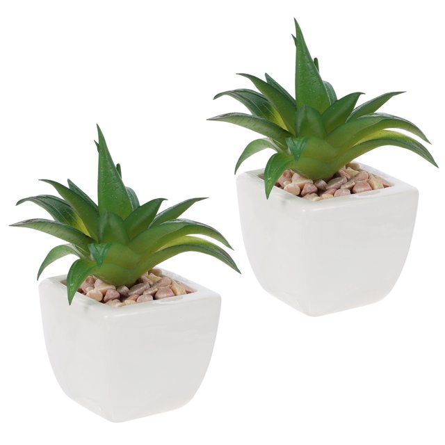 2 piezas suculentas artificiales Bonsai falsas plantas suculentas para la oficina en casa HOMEMAXS 9997488-MX