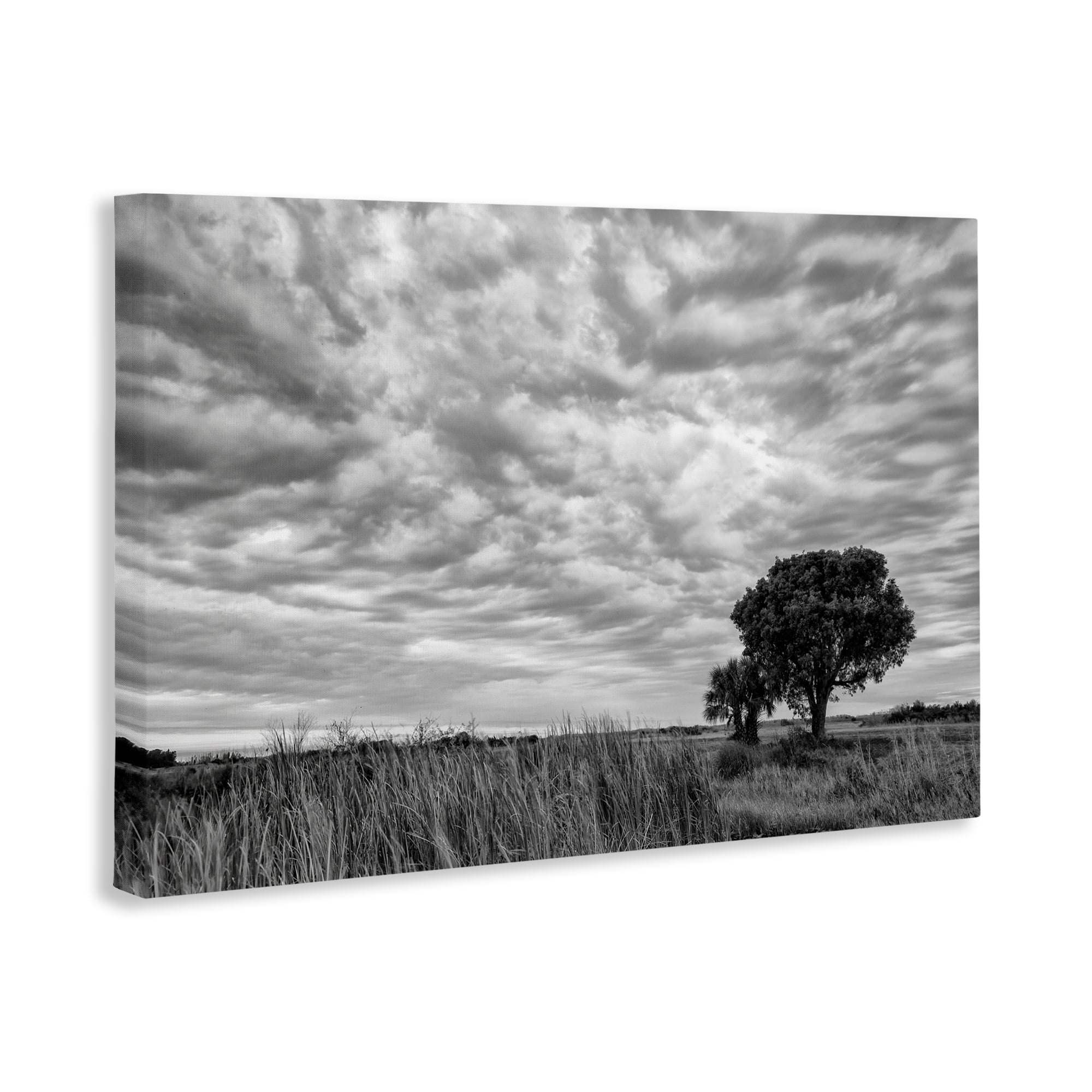Stupell Industries Solitary Tree Beneath Clouds Canvas Wall Art, design by Jon Evan