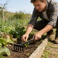 thumbnail image 1 of Juego de paletas de jardinería | Kit de 4 herramientas para plantar, cavar, desherbar y trasplantar | Pala y cultivador de hierro para jardín, parterres y huertos, 1 of 6