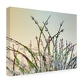 thumbnail image 4 of Trademark Fine Art 'Dewy Grass' Canvas Art by Cora Niele, 4 of 4