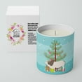 thumbnail image 2 of Carolines Treasures BB9197CDL 3.75 x 3.25 in. Unisex Malvi Cow Christmas 10 oz Decorative Soy Candle, Teal, 2 of 5