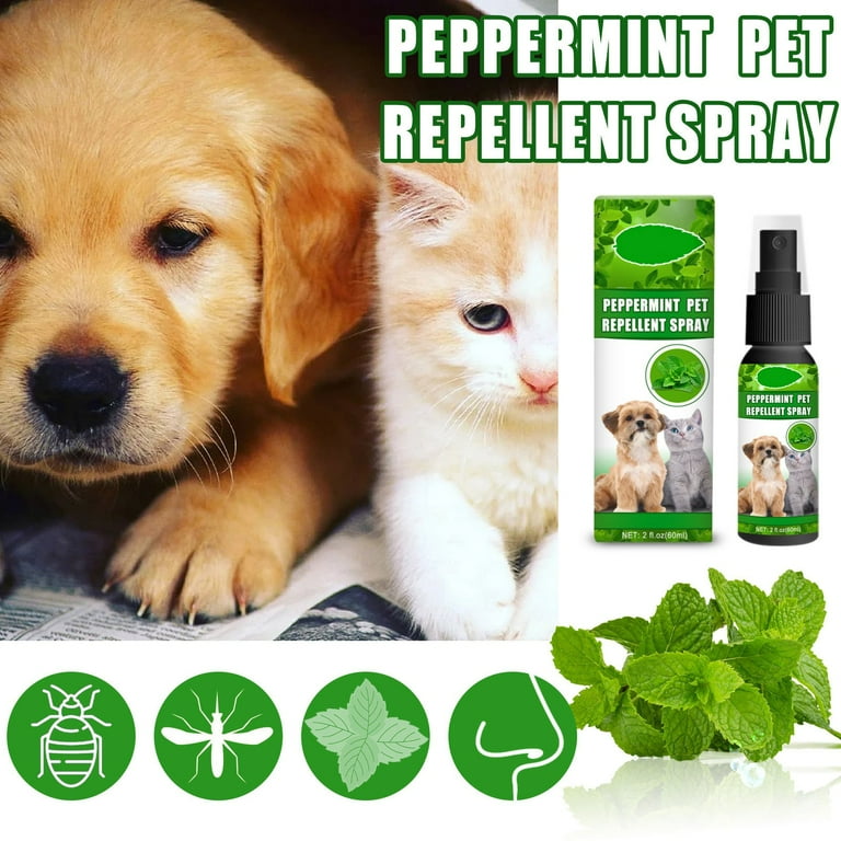 Purowzwe Ammonia Mint Pet Removal Spray Dog Removal Spray Pet Removal Cat And Dog Spray 60ml 2oz