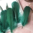 thumbnail image 2 of XIANXIAN 50 Colorful Goose Feathers Decoration for Wedding Clothing Stick Cat Colourful Diy for Hair Party Home Flower Pcs Decoration Plumage Craft 50 Plumage Middle Floating Plume, 2 of 4