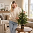 thumbnail image 5 of 2ft Potted Artificial Norfolk Pine Tabletop Tree, UV Resistant Faux Cedar Plant for Indoor Outdoor Year-Round & Christmas Decor,A, 5 of 6