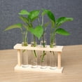 thumbnail image 3 of casa de la habitación del estante del tubo de ensayo,tubos soporte de vidrio planta pothos soporte de florero de pared,jardineras de bambú que propagan jardinera hidropónica,tubos de ensayo, 3 of 9