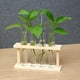 thumbnail image 3 of casa de la habitación del estante del tubo de ensayo,tubos soporte de vidrio planta pothos soporte de florero de pared,jardineras de bambú que propagan jardinera hidropónica,tubos de ensayo, 3 of 9