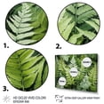 thumbnail image 3 of Designart "Enchantment with Ferns II" Floral Floater Framed Wall Art Living Room, 3 of 7