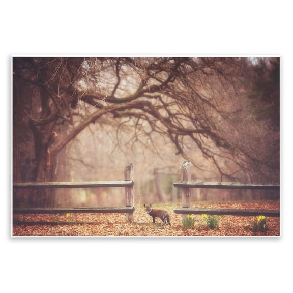 Stupell Industries Sly Guy Fox in Forest Wall Plaque Art design by Carrie Ann Grippo-Pike, 10 x 15