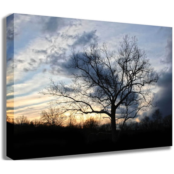 Batie "Sunset Tree" Canvas Print