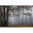 thumbnail image 2 of Artemiadi, Dora 24x17 White Modern Wood Framed Museum Art Print Titled - Autumn Paintings, 2 of 4